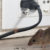 Mice Problems in Doncaster