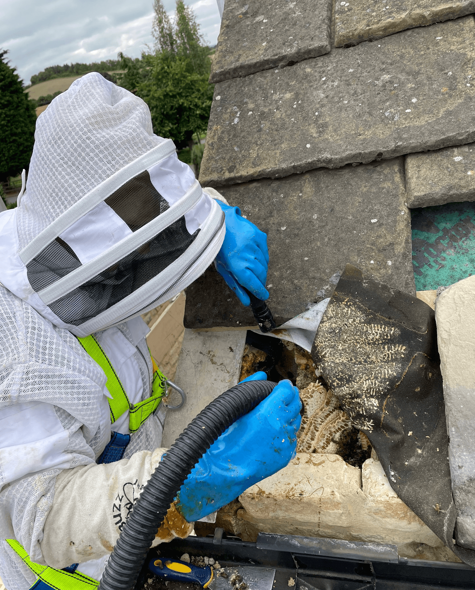 Bee Nest Removal In Doncaster
