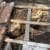 Bee nest removal Doncaster
