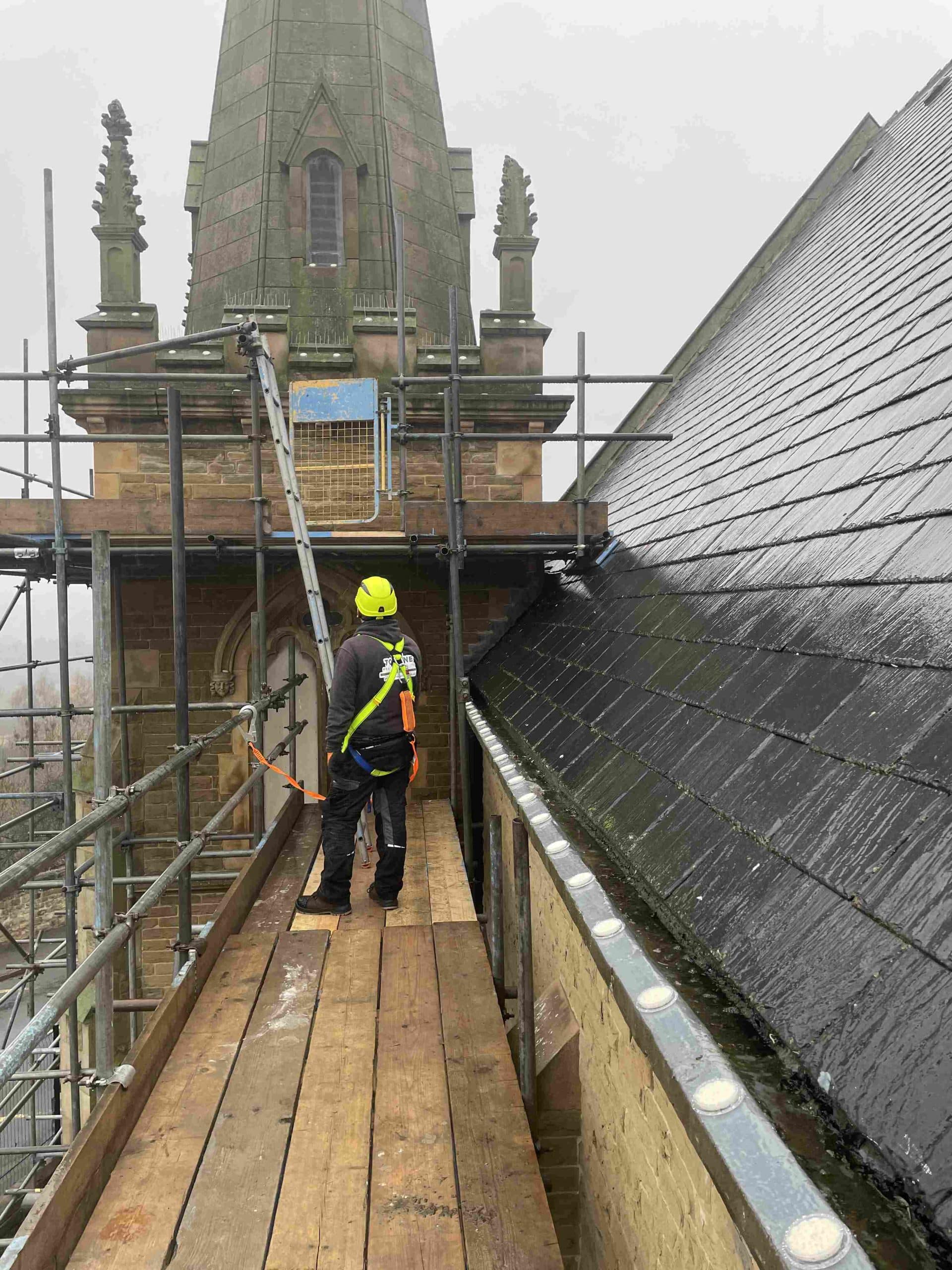 Bird Control in Doncaster
